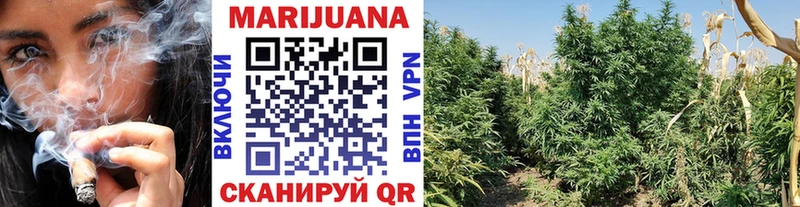 Купить Воркута Бошки марихуана гибрид